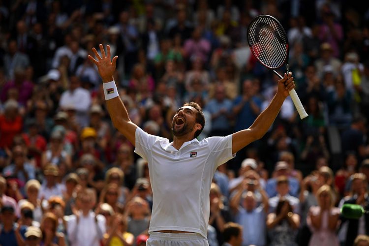In his most consistent season to date, Cilic entered Wimbledon at world No.6 and made a joyful run to the finals.