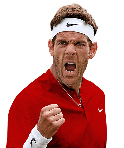 delpotro-2018