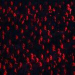 The Laver Cup arena lights up in red