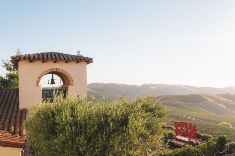 DAOU Mountain Image 2